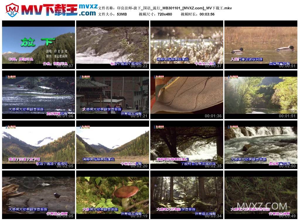 印良法师-放下_国语_流行_MB301101